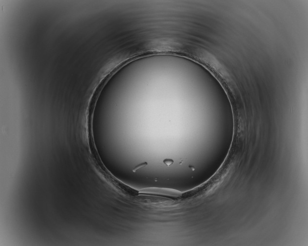 X0000094940986200712061227