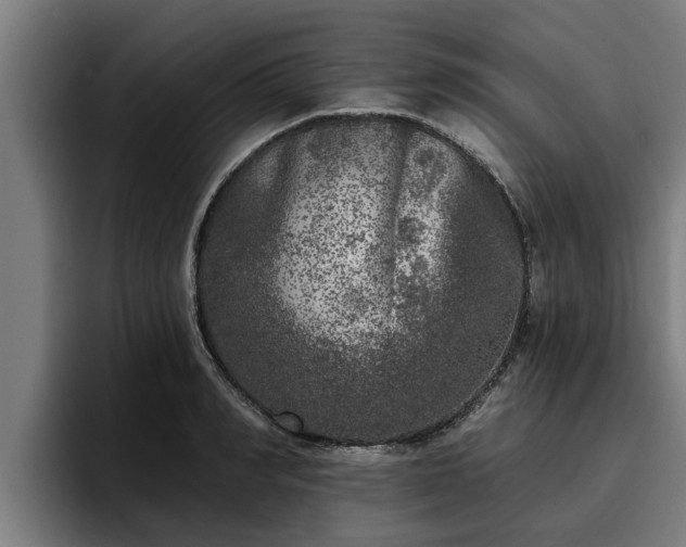 X0000094940990200712061227