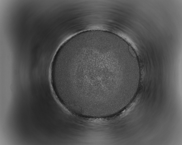 X0000094940991200712061227