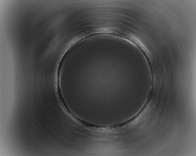 X0000094940994200712061227