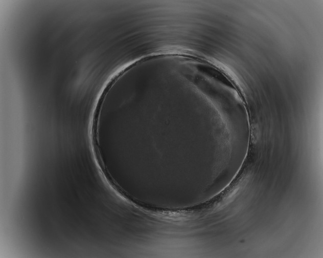 X0000094940995200712061227