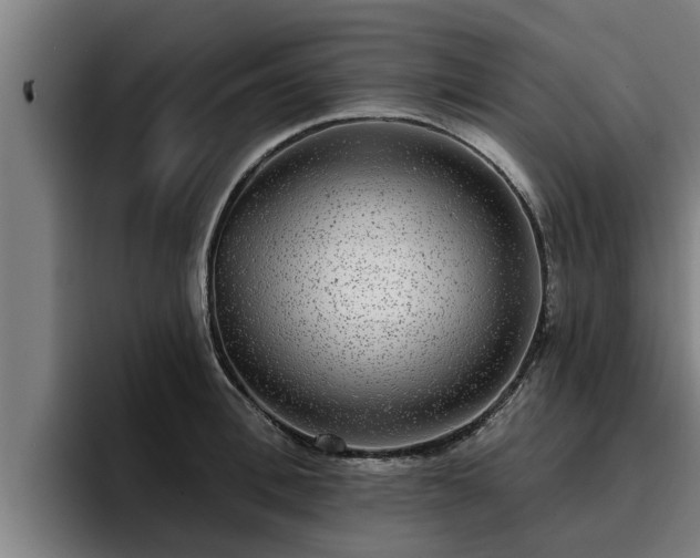 X0000094940996200712061227