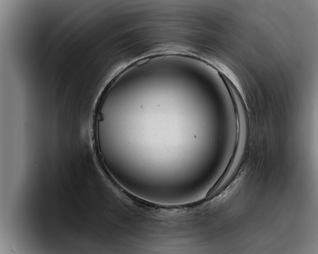 X0000094940997200712061227