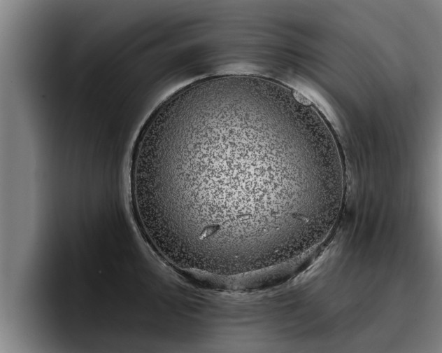 X0000094941000200712061227