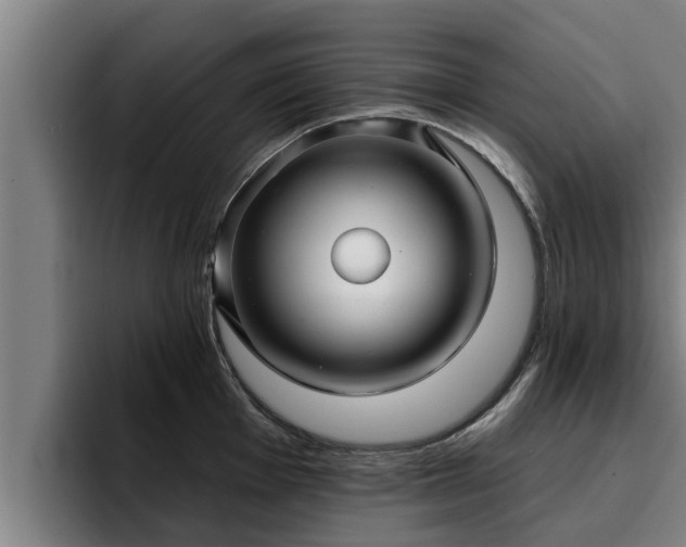 X0000094941001200712061227