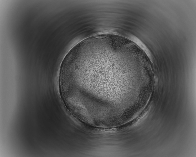 X0000094941002200712061227