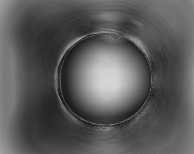 X0000094941003200712061227