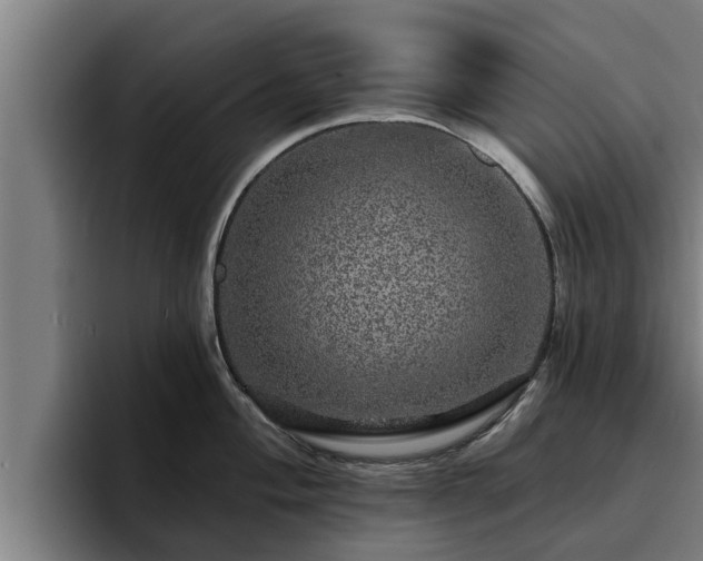 X0000094941004200712061227