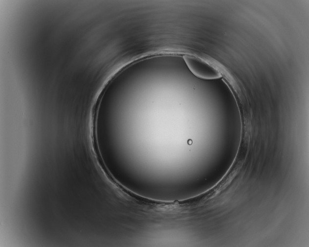 X0000094941006200712061227