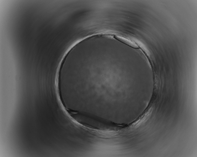 X0000094941007200712061227