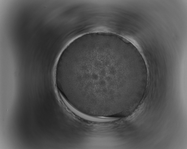 X0000094941008200712061227