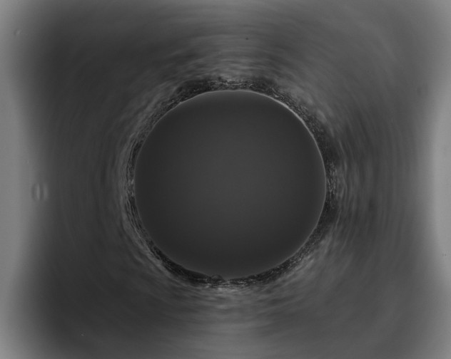 X0000094941009200712061227