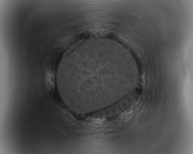 X0000094941010200712061227