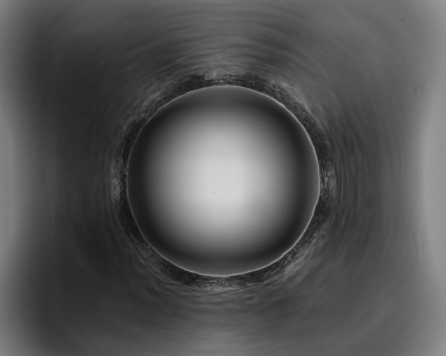 X0000094941012200712061227