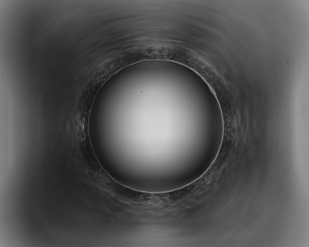 X0000094941013200712061227