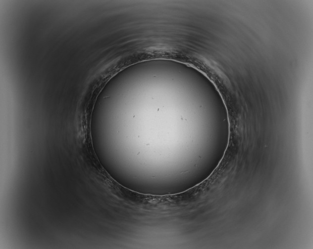 X0000094941015200712061227