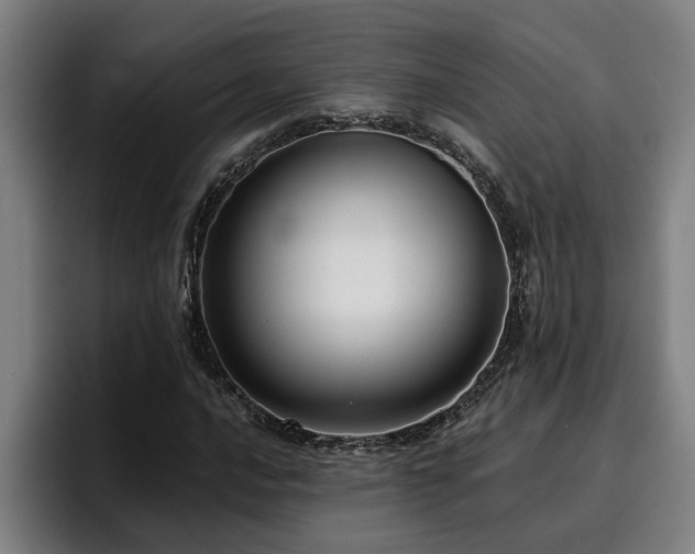 X0000094941016200712061227