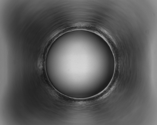 X0000094941017200712061227