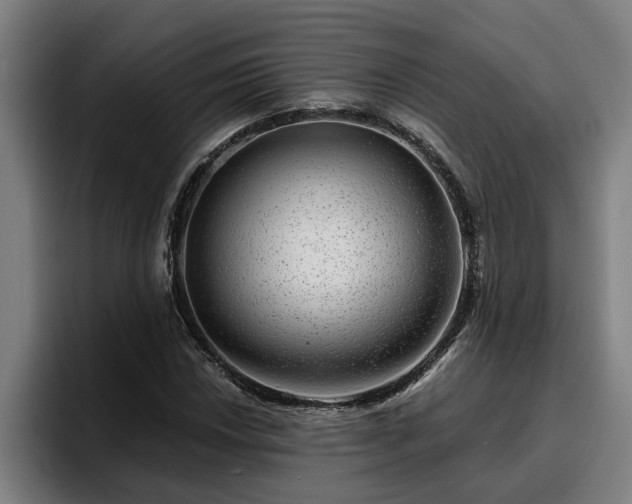 X0000094941018200712061227