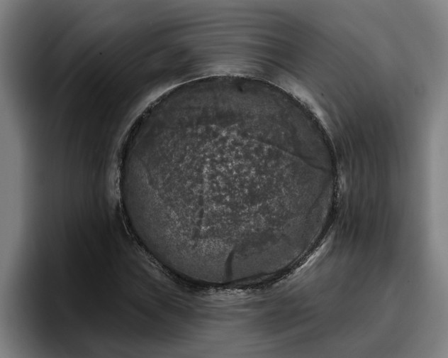 X0000094941019200712061227