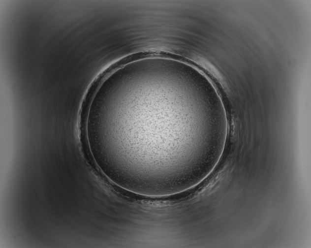 X0000094941020200712061227