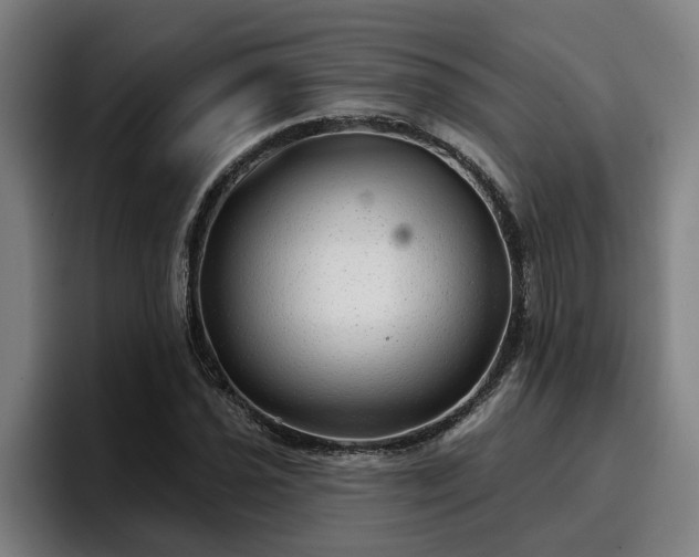 X0000094941021200712061227