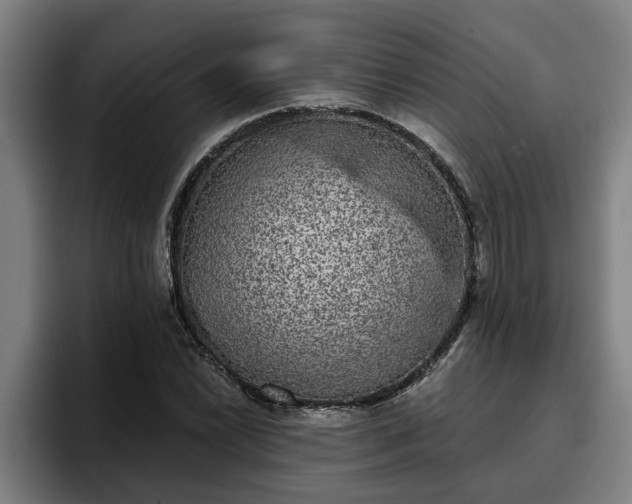 X0000094941022200712061227