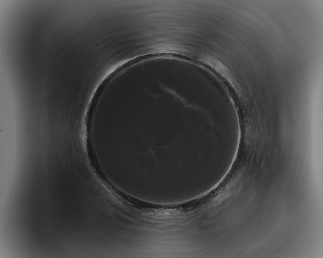 X0000094941024200712061227