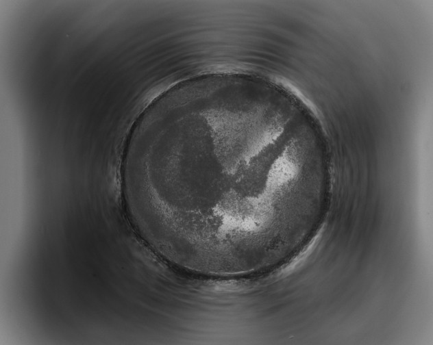 X0000094941025200712061227