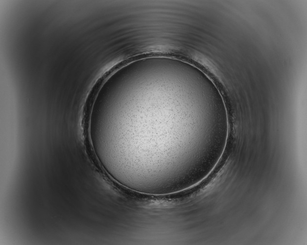 X0000094941026200712061227