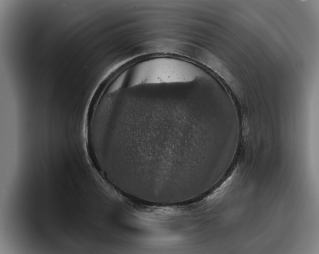 X0000094941028200712061227