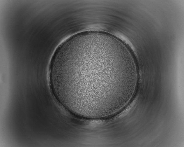 X0000094941029200712061227