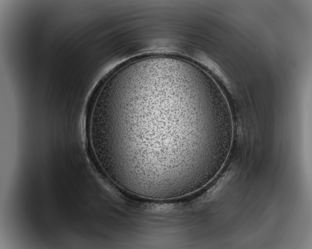 X0000094941030200712061227