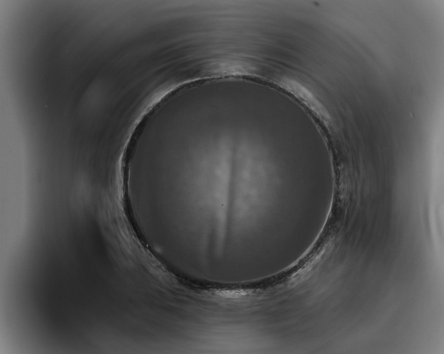 X0000094941031200712061227