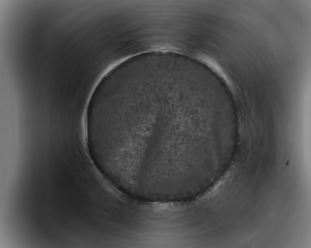 X0000094941032200712061227