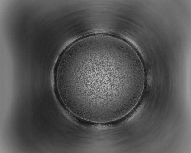 X0000094941034200712061227