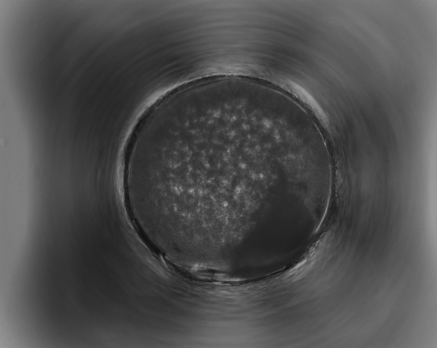 X0000094941035200712061227