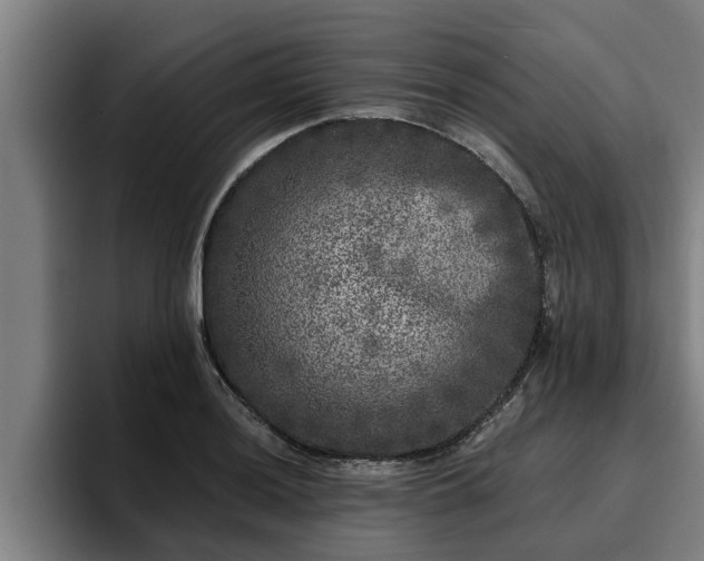 X0000094941036200712061227