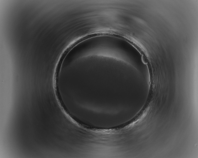 X0000094941037200712061227