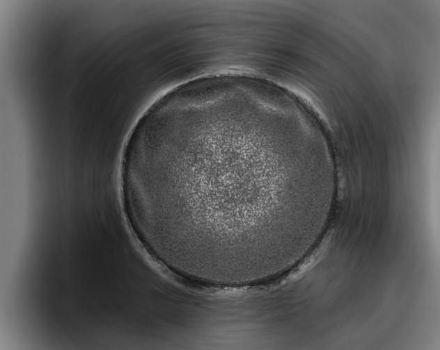 X0000094941038200712061227