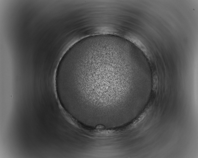 X0000094941039200712061227