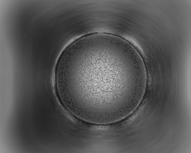 X0000094941040200712061227