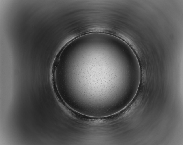 X0000094941042200712061227