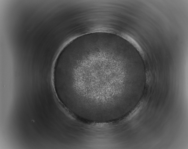 X0000094941043200712061227