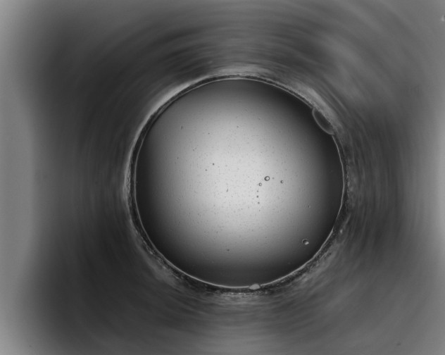 X0000094941044200712061227