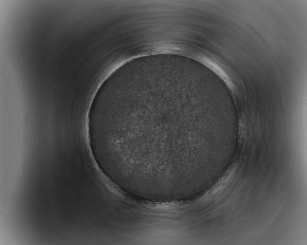 X0000094941047200712061227