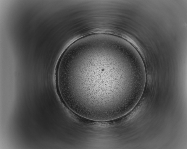 X0000094941050200712061227