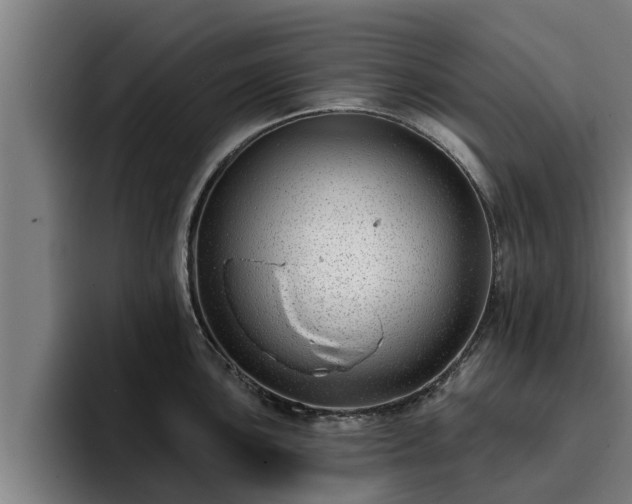 X0000094941051200712061227