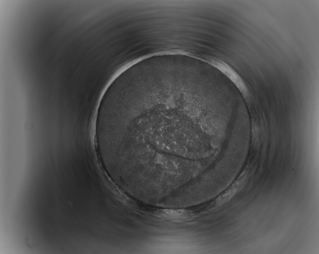 X0000094941052200712061227