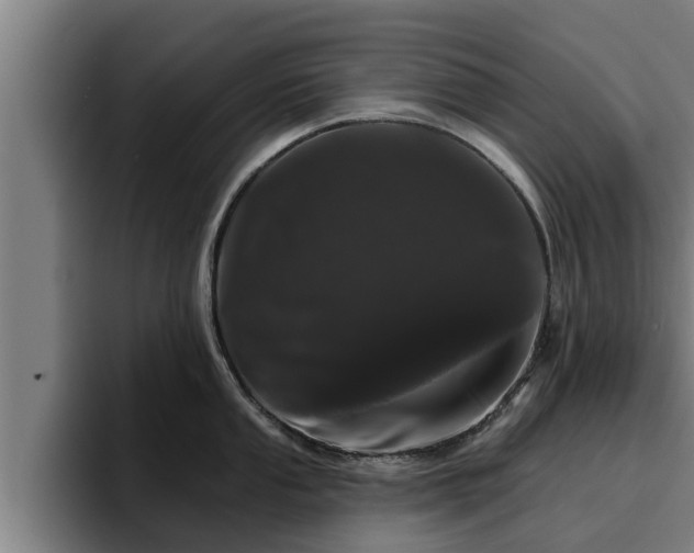 X0000094941053200712061227